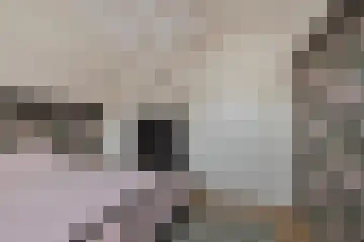 Kloosterlaan 11 Langeweg thumbnail 19