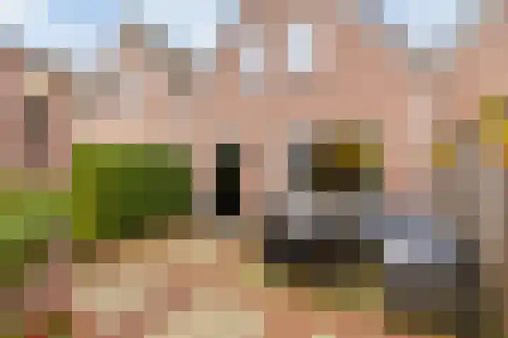 Kloosterlaan 11 Langeweg thumbnail 22