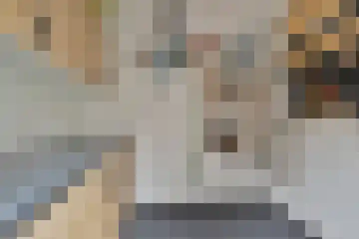 Kloosterlaan 11 Langeweg thumbnail 25
