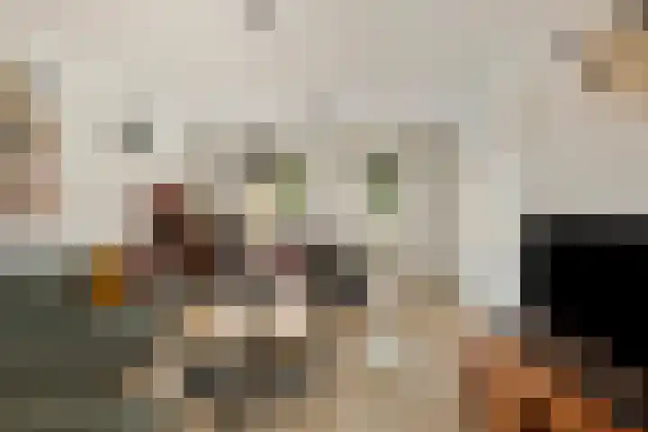Kloosterlaan 11 Langeweg thumbnail 4