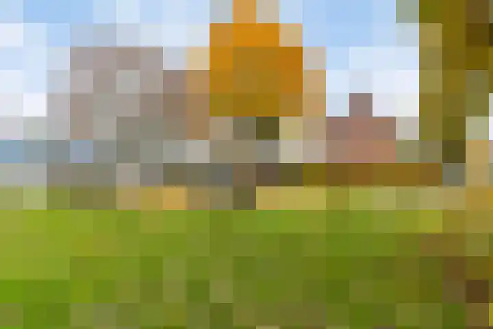 Kloosterlaan 11 Langeweg thumbnail 6