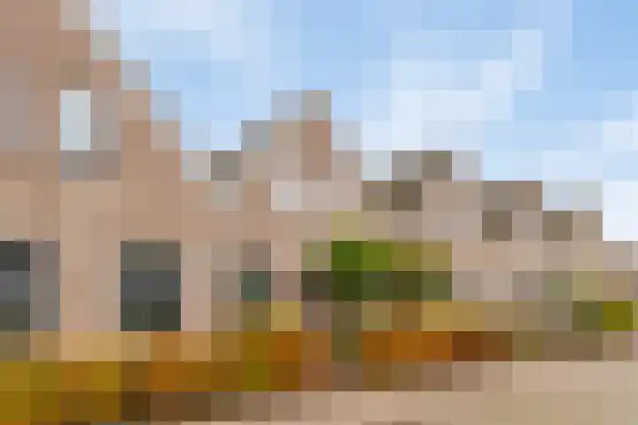 Kloosterlaan 11 Langeweg thumbnail 7