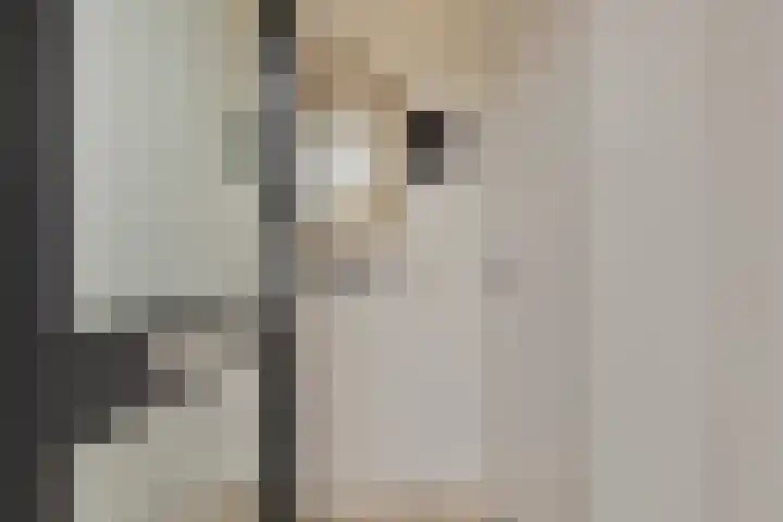 Kloosterlaan 11 Langeweg thumbnail 8