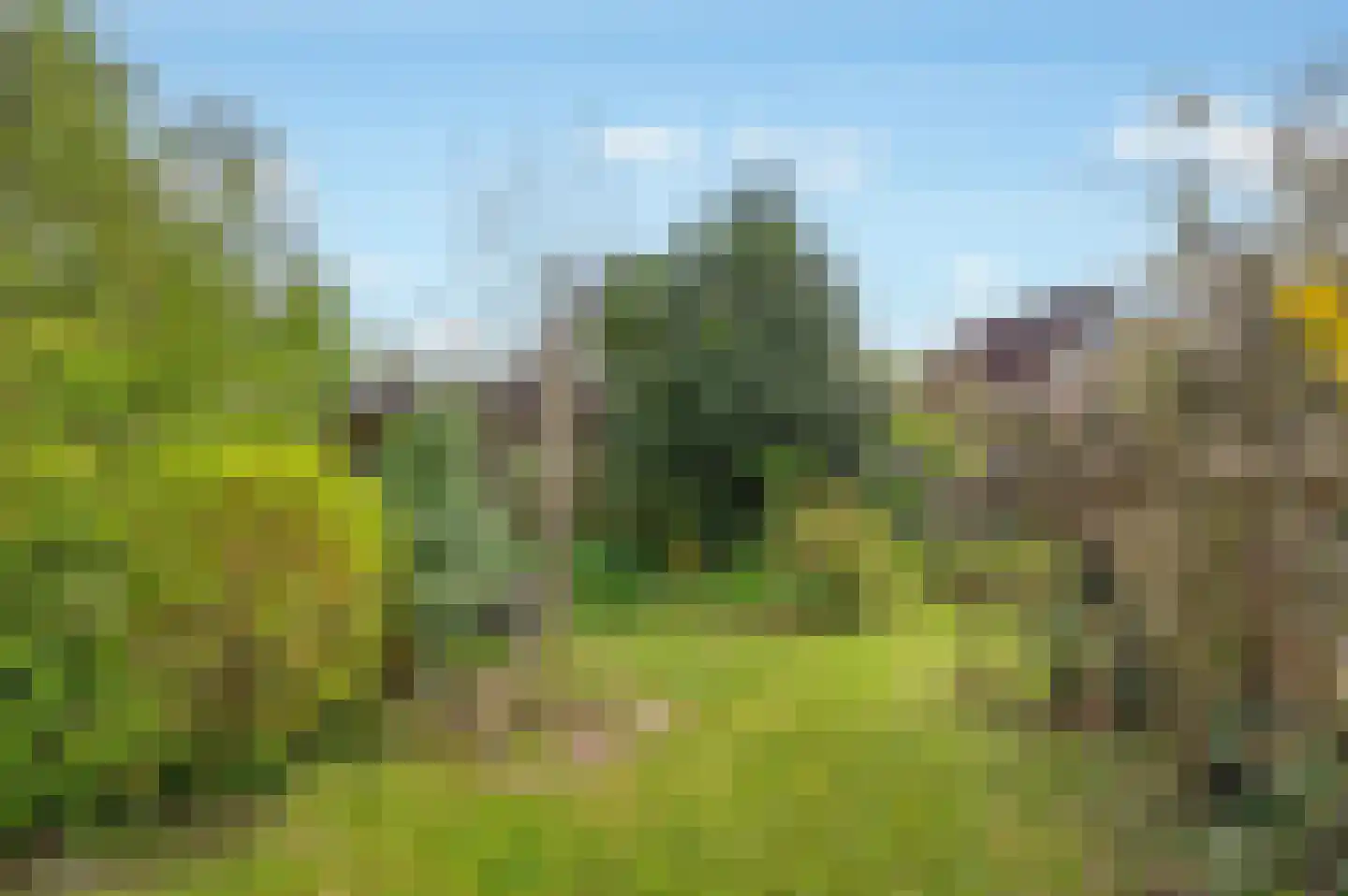Kloosterlaan 13 A Winschoten thumbnail 60