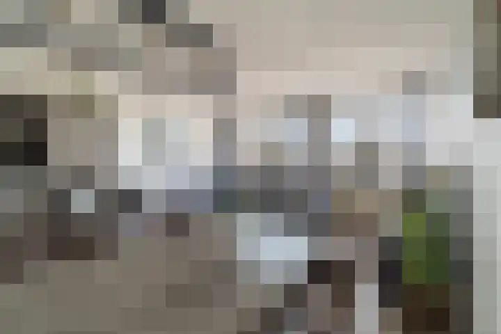 Kloosterlaan 13 Monster thumbnail 18