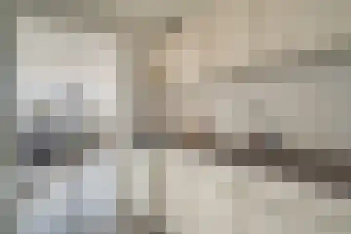 Kloosterlaan 13 Monster thumbnail 20