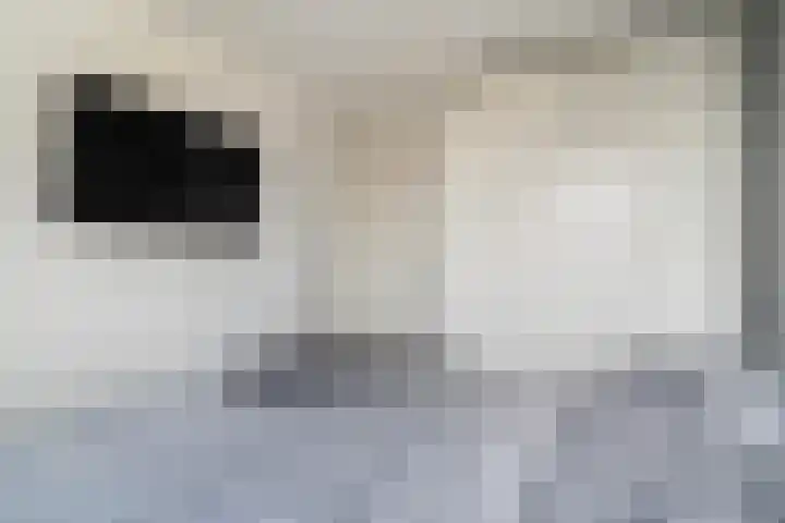 Kloosterlaan 13 Monster thumbnail 23