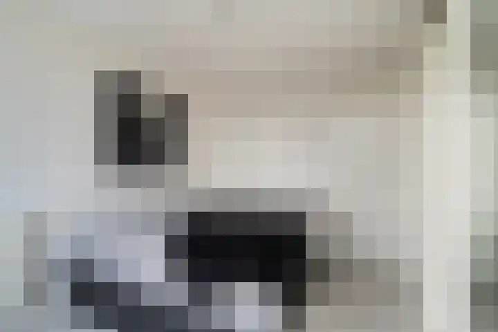 Kloosterlaan 13 Monster thumbnail 24