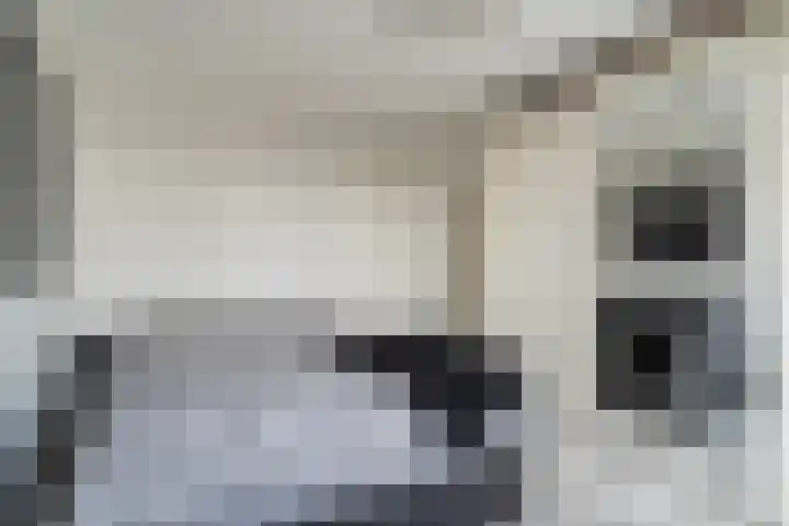 Kloosterlaan 13 Monster thumbnail 25