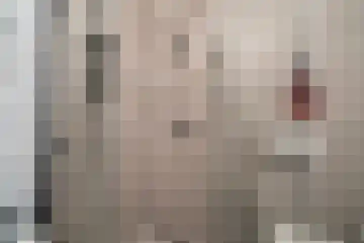 Kloosterlaan 13 Monster thumbnail 30