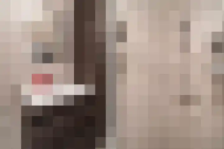 Kloosterlaan 13 Monster thumbnail 31