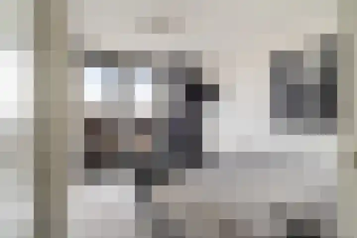 Kloosterlaan 13 Monster thumbnail 4