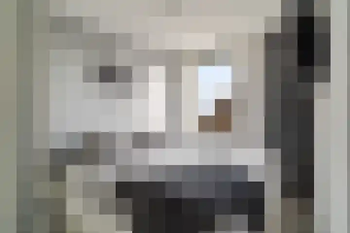 Kloosterlaan 13 Monster thumbnail 5