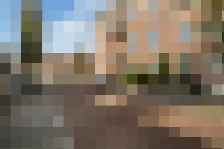 Kloosterlaan 13 Monster thumbnail 9