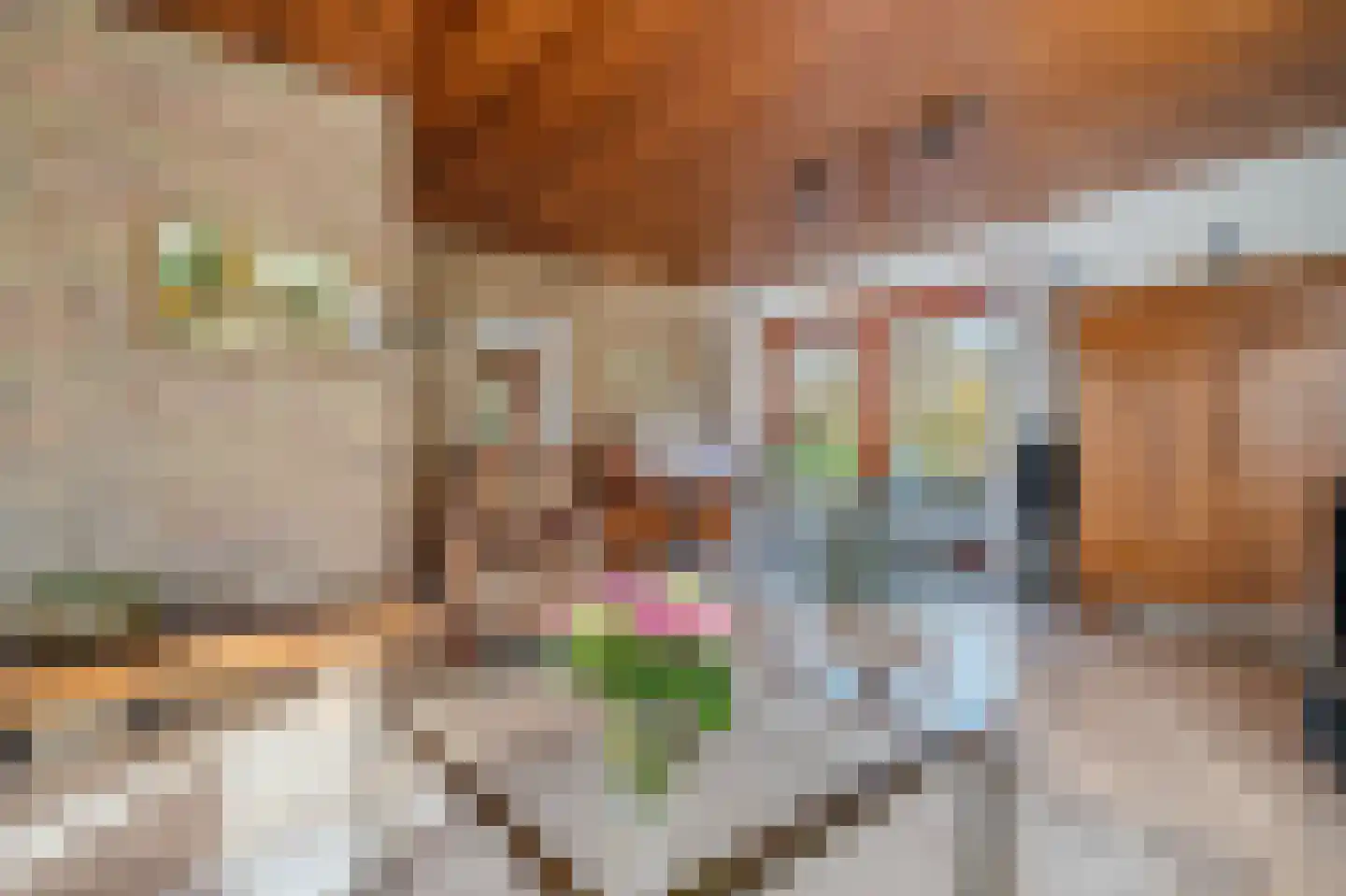 Kloosterlaan 130 Winschoten thumbnail 24