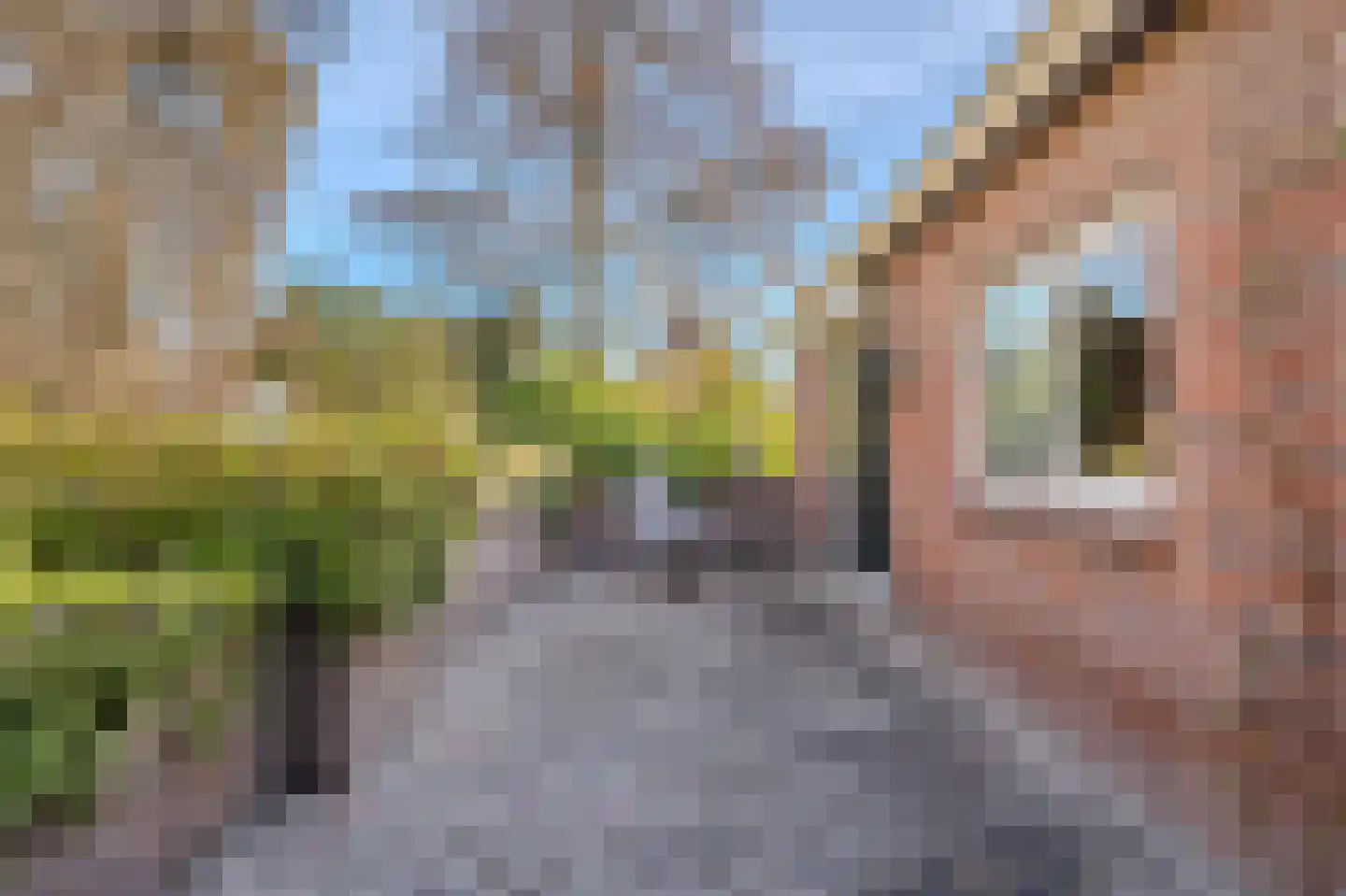 Kloosterlaan 130 Winschoten thumbnail 46
