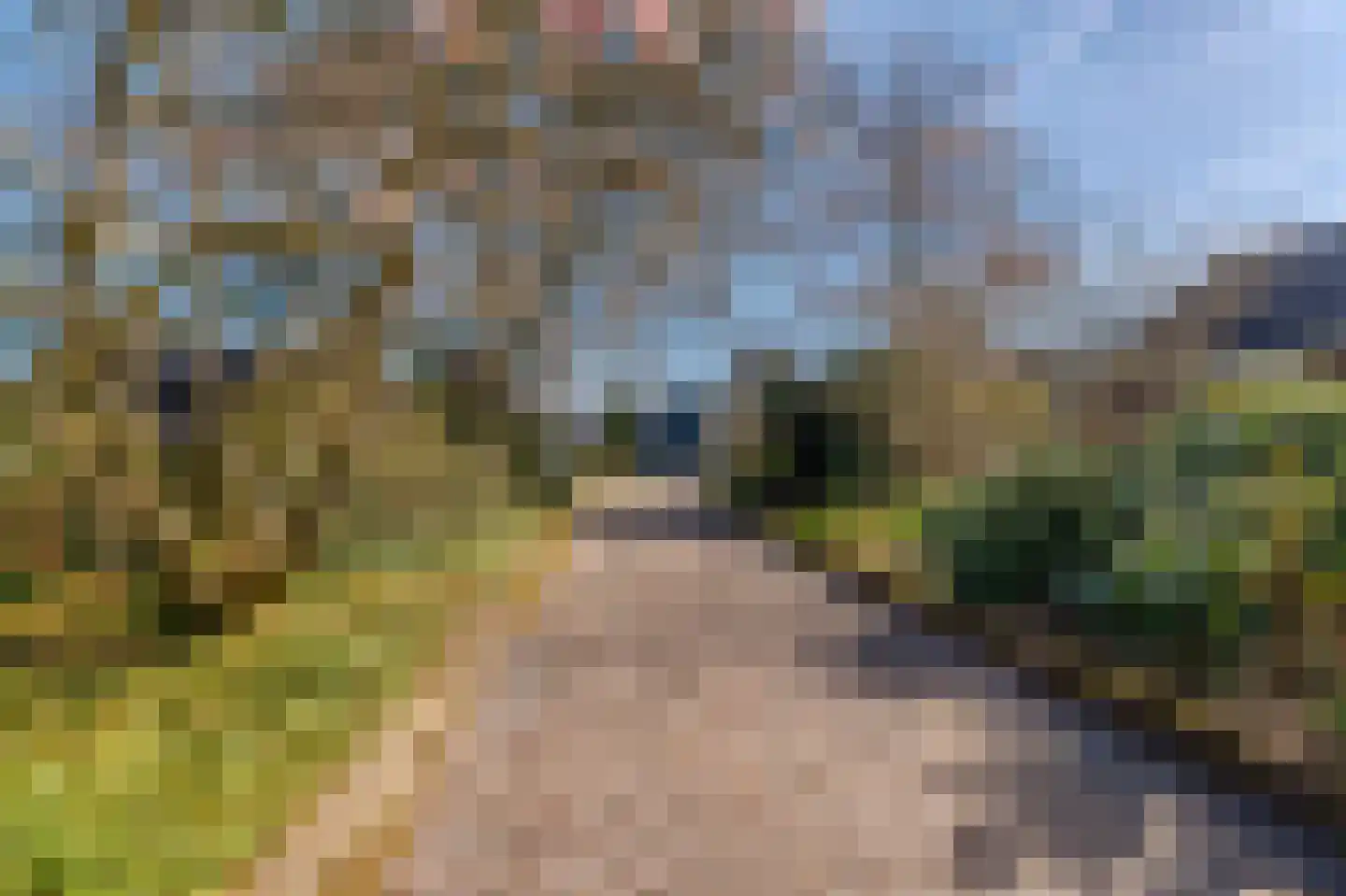 Kloosterlaan 130 Winschoten thumbnail 72