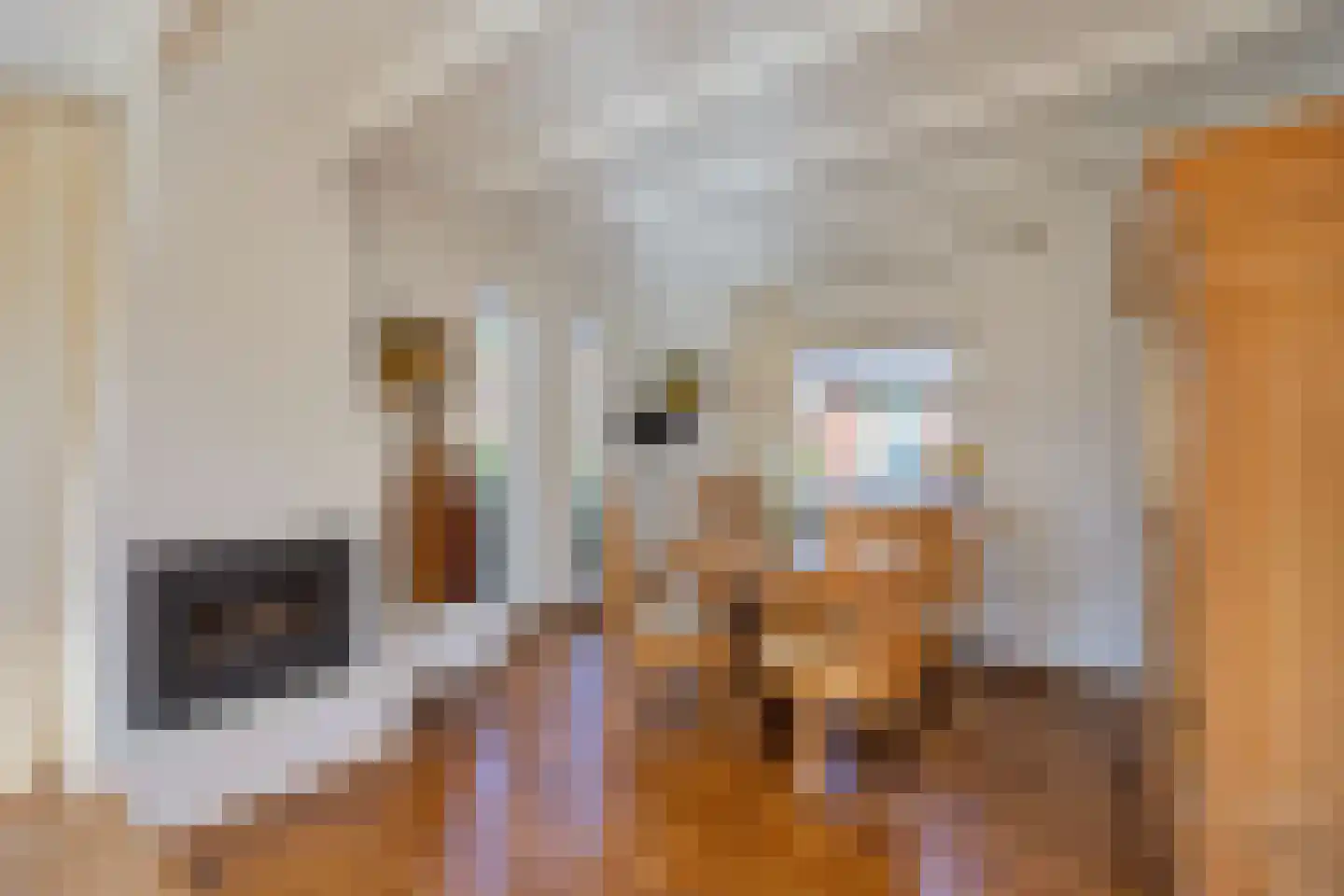Kloosterlaan 15 A Heiligerlee thumbnail 11