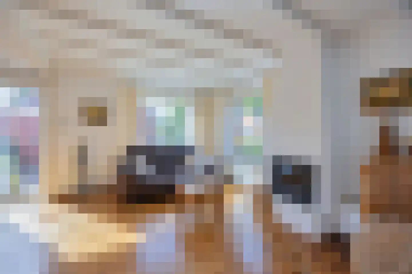 Kloosterlaan 15 A Heiligerlee thumbnail 12