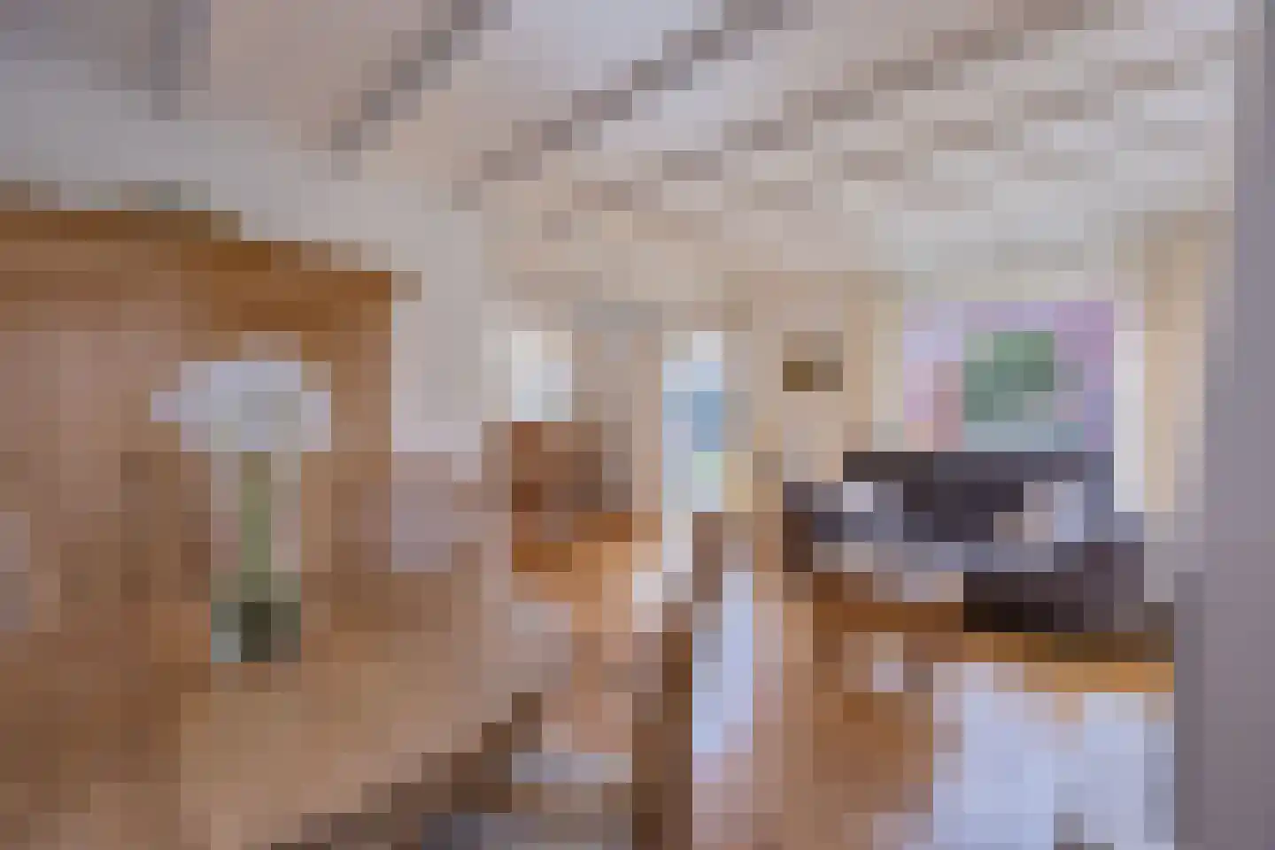 Kloosterlaan 15 A Heiligerlee thumbnail 13