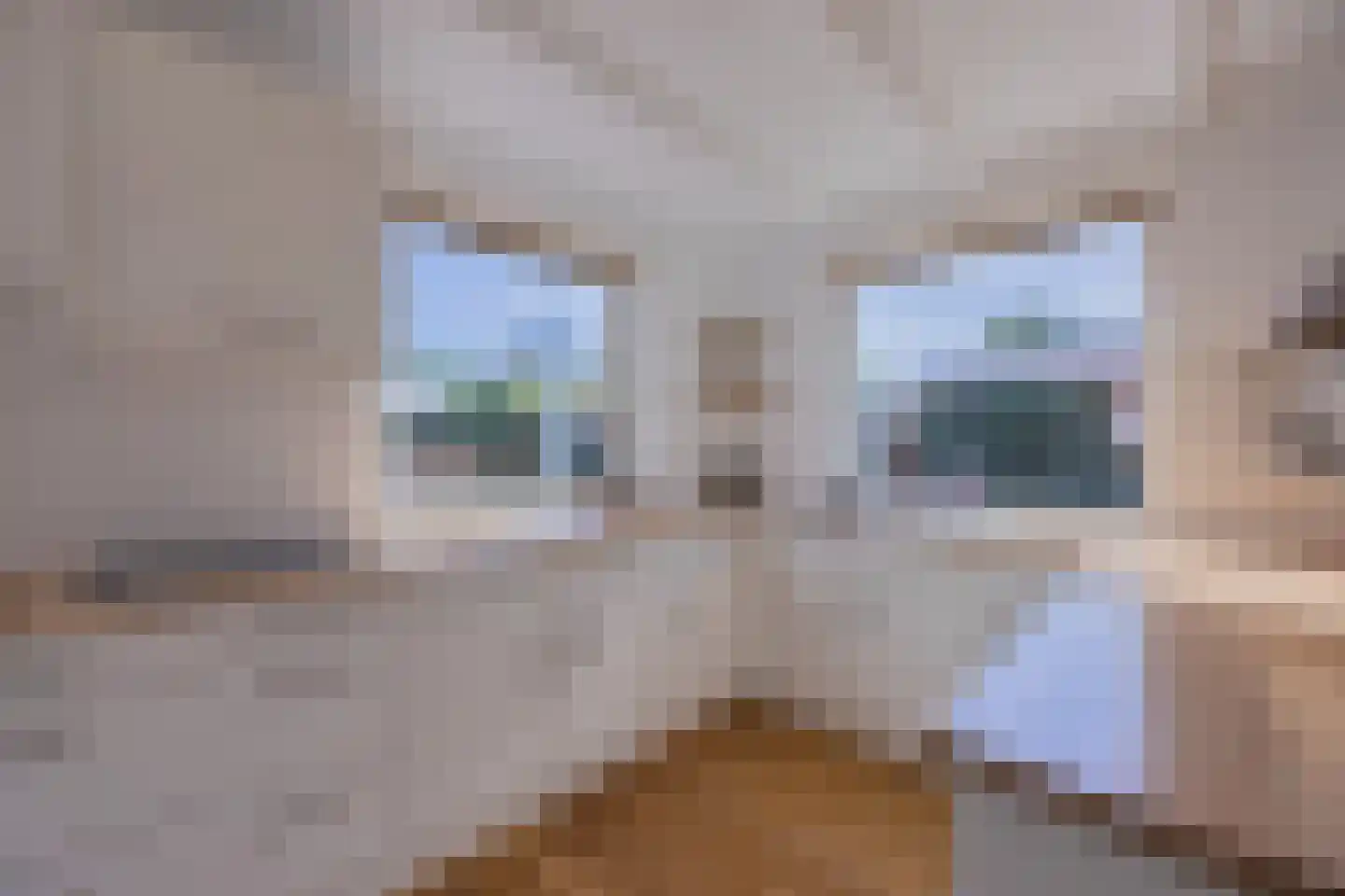Kloosterlaan 15 A Heiligerlee thumbnail 17