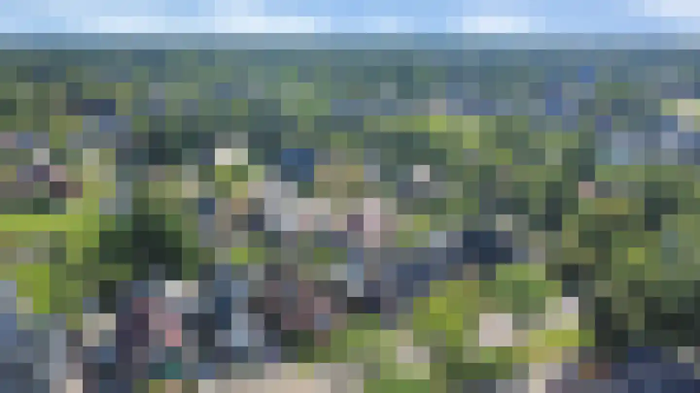 Kloosterlaan 15 A Heiligerlee thumbnail 45
