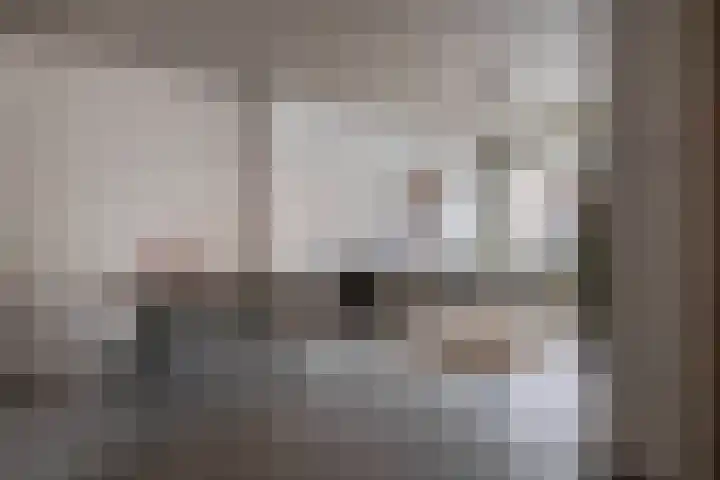 Kloosterlaan 15 Sas van Gent thumbnail 10