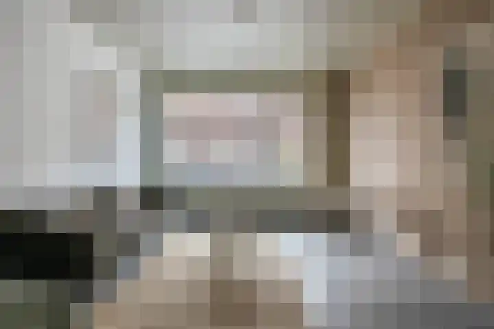 Kloosterlaan 15 Sas van Gent thumbnail 11