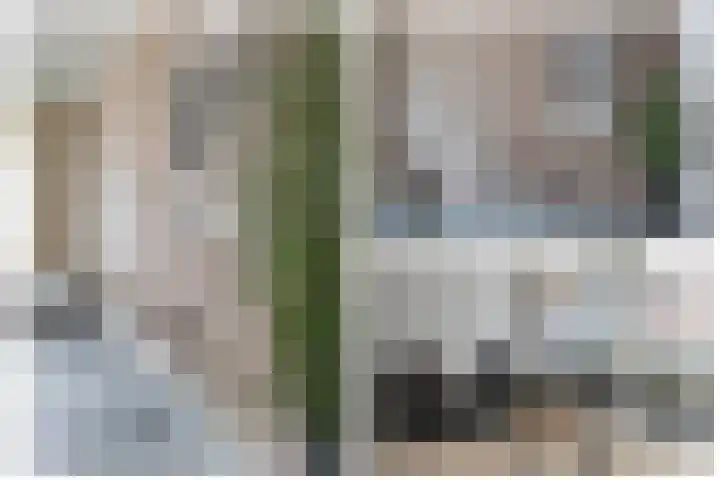 Kloosterlaan 15 Sas van Gent thumbnail 12