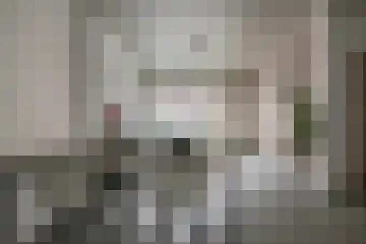 Kloosterlaan 15 Sas van Gent thumbnail 15