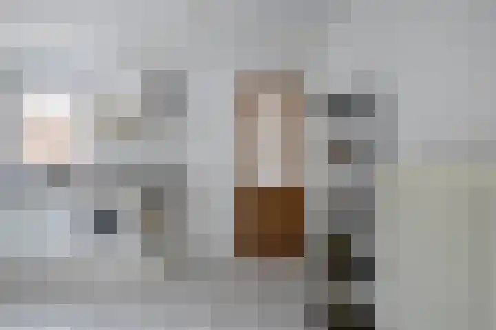 Kloosterlaan 15 Sas van Gent thumbnail 18