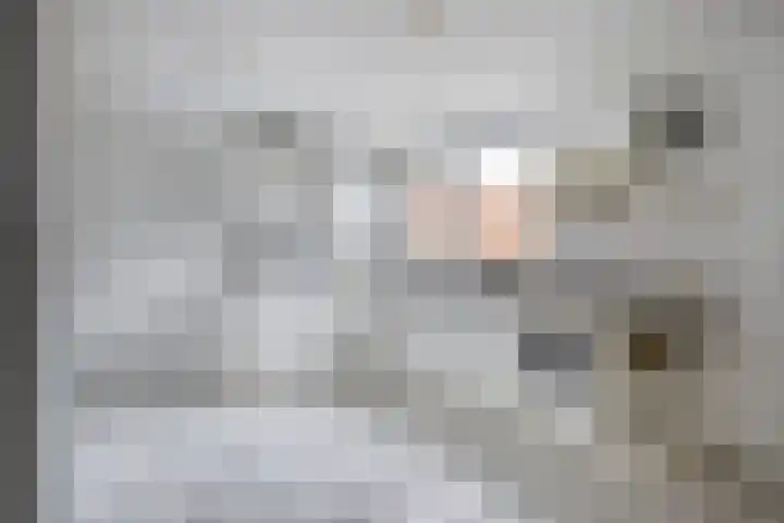 Kloosterlaan 15 Sas van Gent thumbnail 19