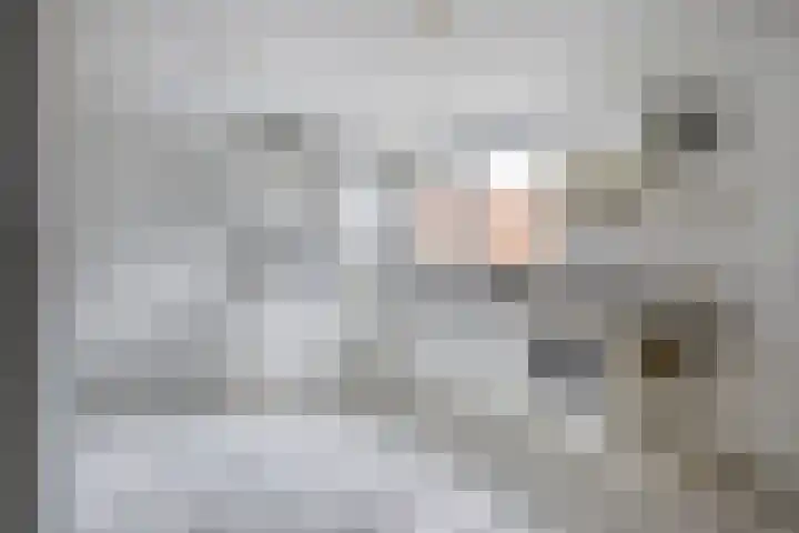 Kloosterlaan 15 Sas van Gent thumbnail 21