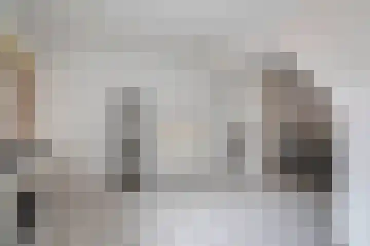 Kloosterlaan 15 Sas van Gent thumbnail 22