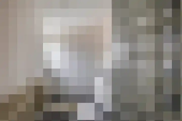 Kloosterlaan 15 Sas van Gent thumbnail 24