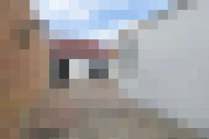 Kloosterlaan 15 Sas van Gent thumbnail 28