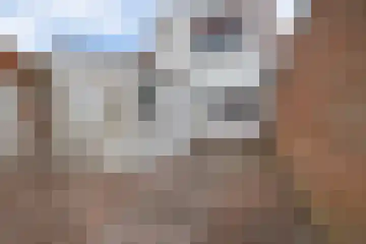 Kloosterlaan 15 Sas van Gent thumbnail 29