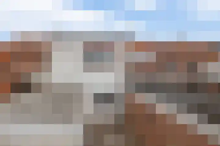 Kloosterlaan 15 Sas van Gent thumbnail 32