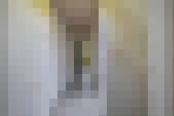 Kloosterlaan 15 Sas van Gent thumbnail 35