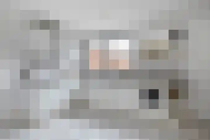 Kloosterlaan 15 Sas van Gent thumbnail 4