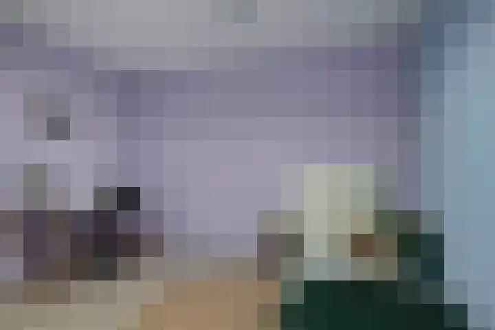 Kloosterlaan 15 Sas van Gent thumbnail 40