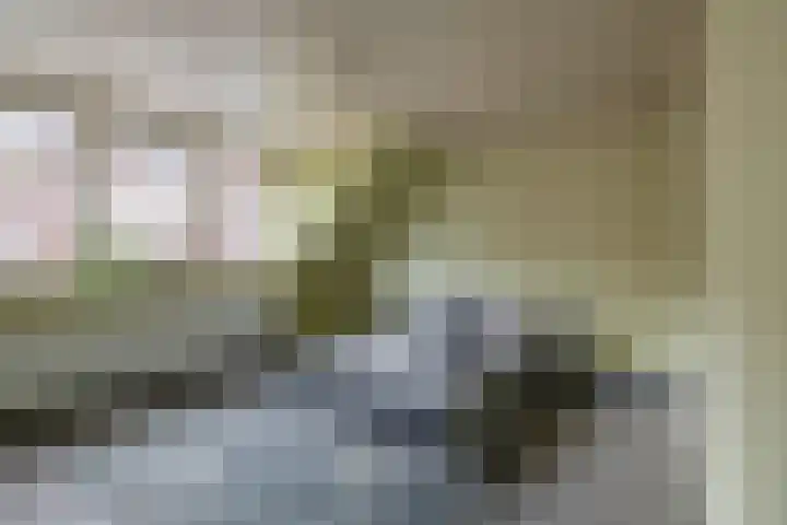 Kloosterlaan 15 Sas van Gent thumbnail 41