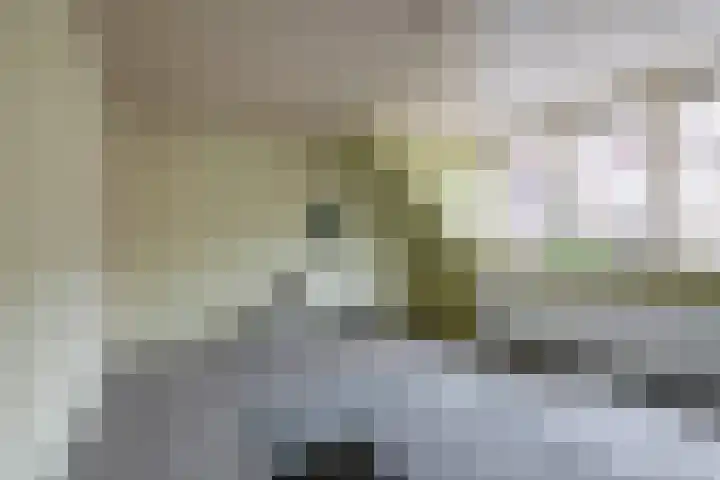 Kloosterlaan 15 Sas van Gent thumbnail 42