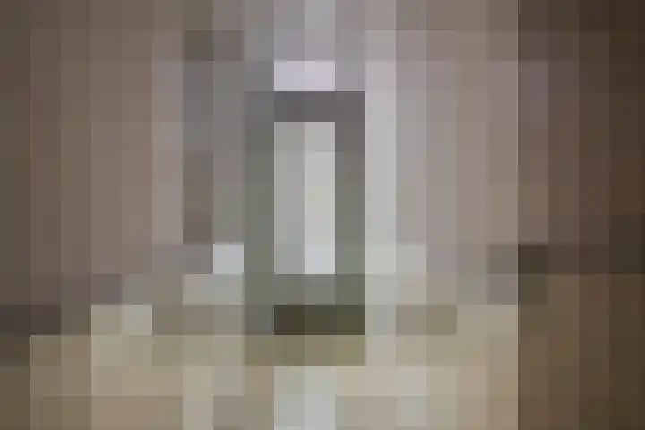 Kloosterlaan 15 Sas van Gent thumbnail 7