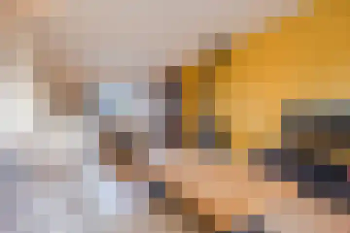 Kloosterlaan 16 Langeweg thumbnail 10