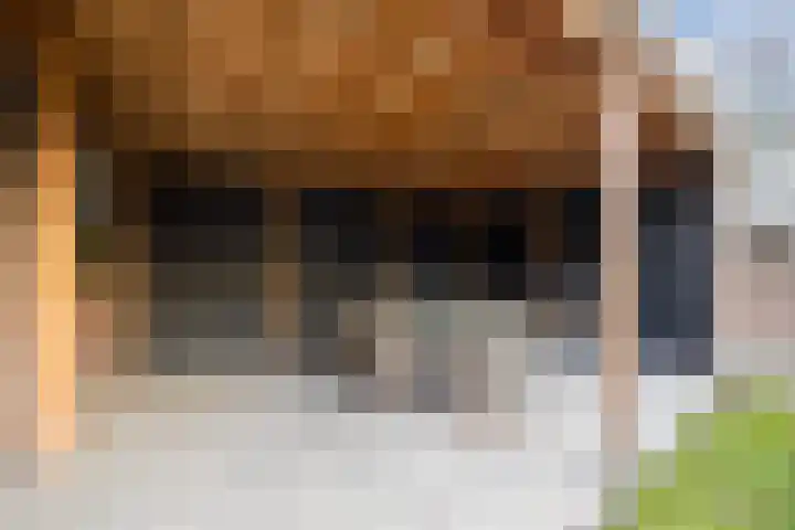 Kloosterlaan 16 Langeweg thumbnail 34