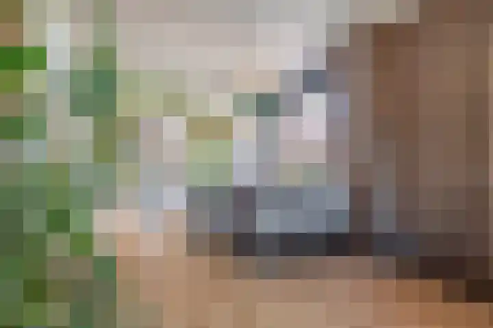 Kloosterlaan 16 Winschoten thumbnail 15