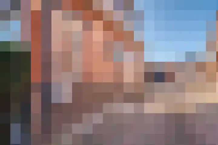 Kloosterlaan 16 Winschoten thumbnail 5