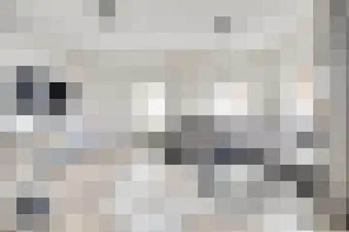 Kloosterlaan 17 Monster thumbnail 6
