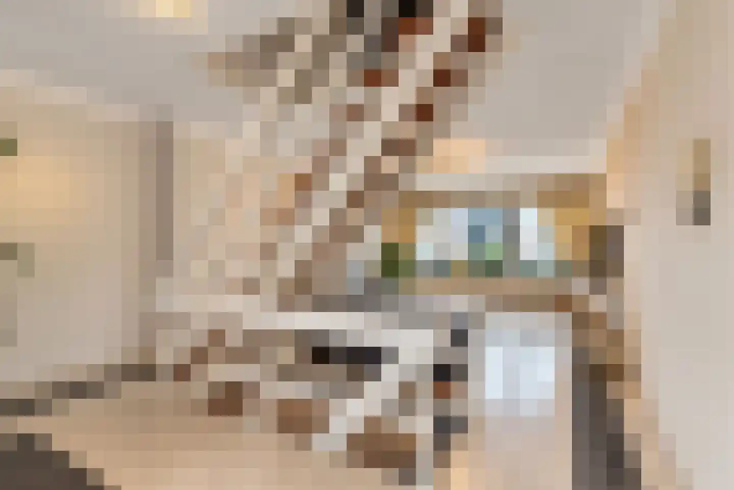 Kloosterlaan 179 Hilversum thumbnail 18